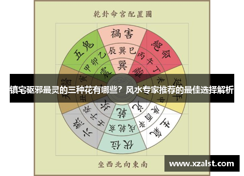 镇宅驱邪最灵的三种花有哪些？风水专家推荐的最佳选择解析